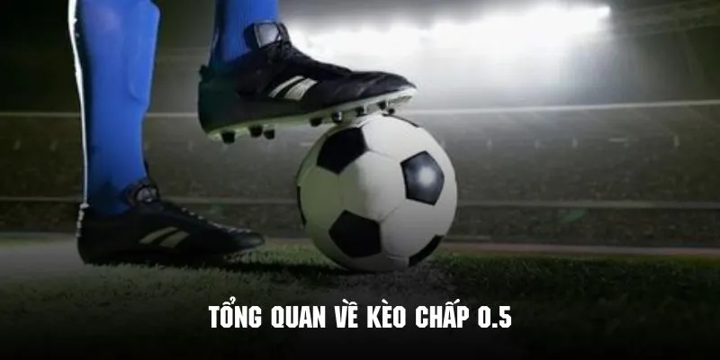 Tổng quan về kèo chấp 0.5