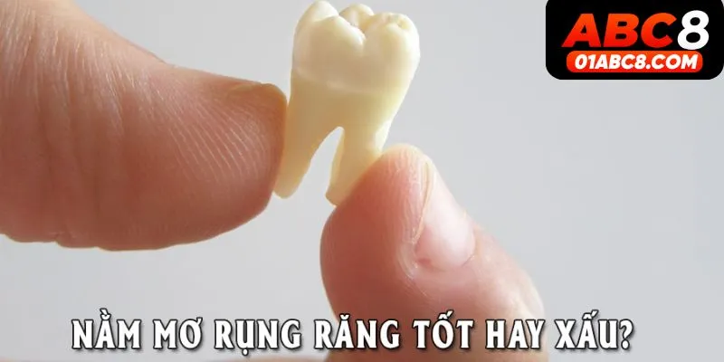 Mơ thấy rụng răng là tốt hay xấu?